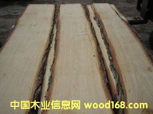 �����ĵ�Ԕ��(x��)��B