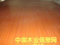 ���B(t��i)��