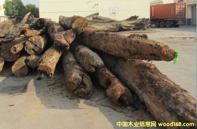 ��z�ľꎳ�ľ��Ԕ����B