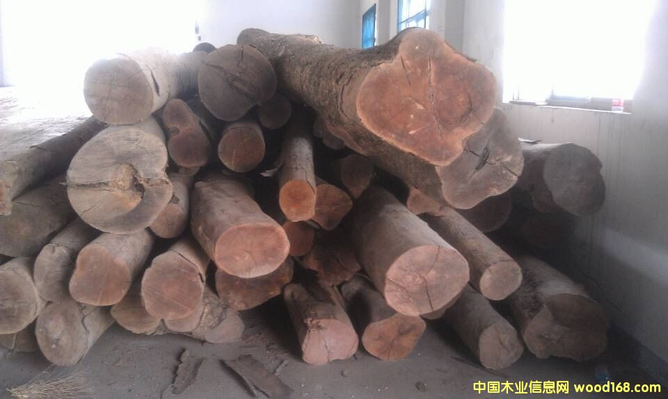 ����骽�z骵�Ԕ����B