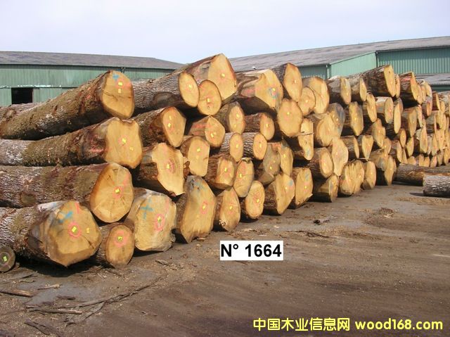 ������ľ �W��