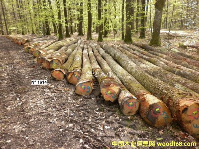 �W�� ������ľ��Ԕ��(x��)��B