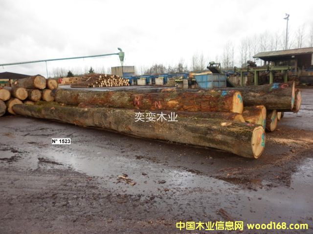 �W�� ������ľ��Ԕ��(x��)��B