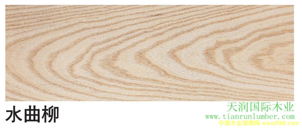 ˮ����&����ˮ������Ԕ����B