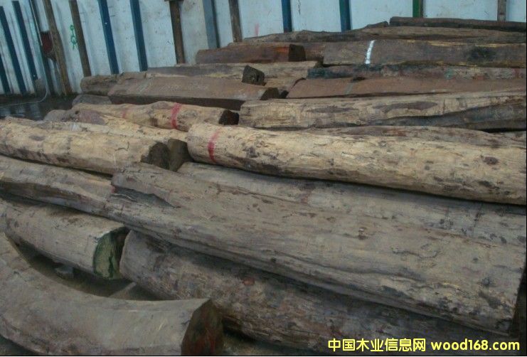 �ϓ�t��֦��Ԕ��(x��)��B