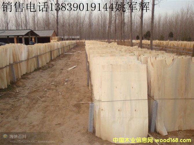 �o����ľ�ΰ��Ԕ����B