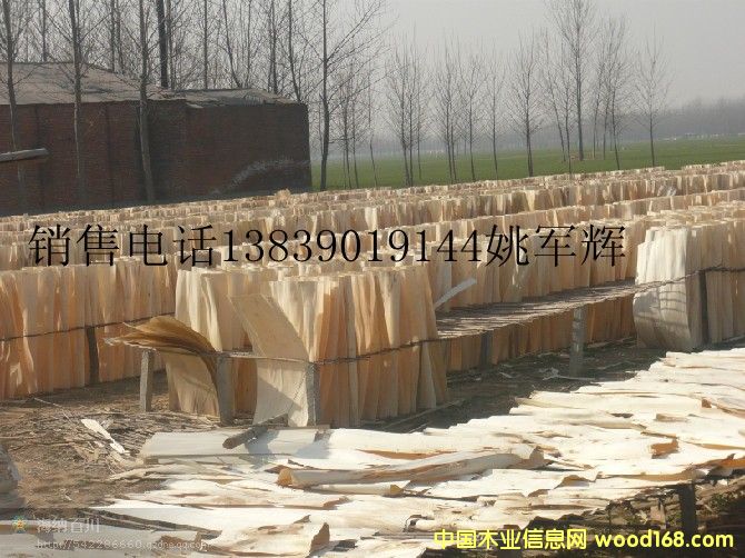 ��ľ�ΰ��Ԕ����B