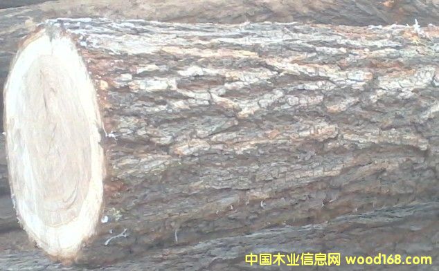 �ܘ��Ԕ��(x��)��B