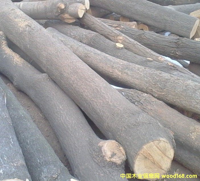 ��ľ��Ԕ��(x��)��B