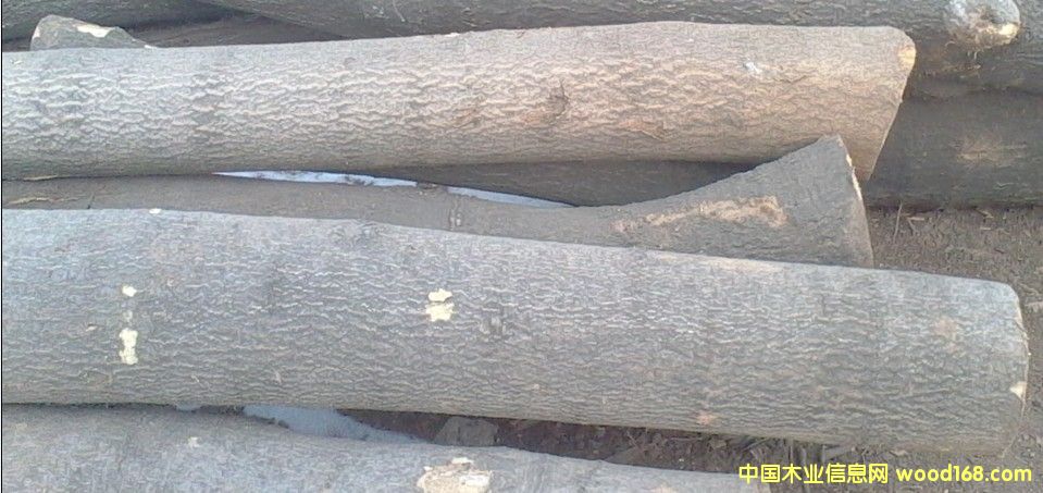 ��ľ��Ԕ��(x��)��B