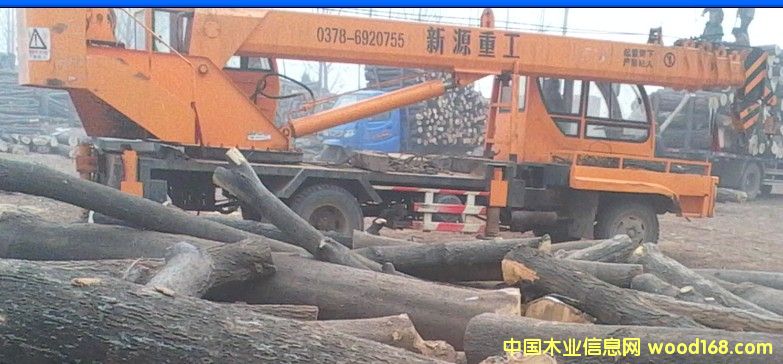 ��ľ��Ԕ��(x��)��B