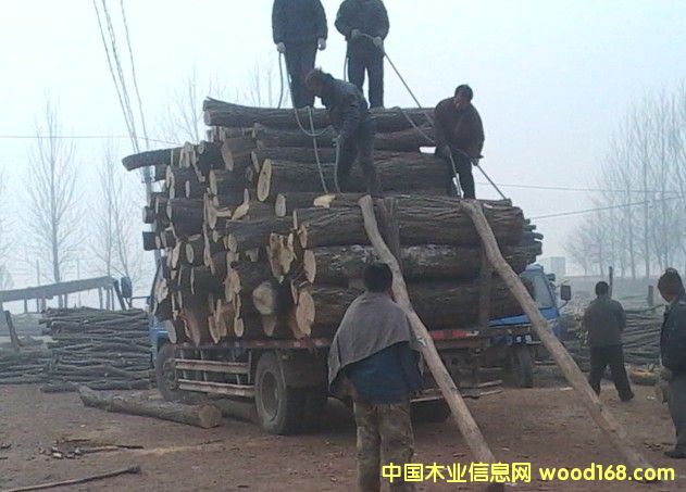 �����Ԕ��(x��)��B