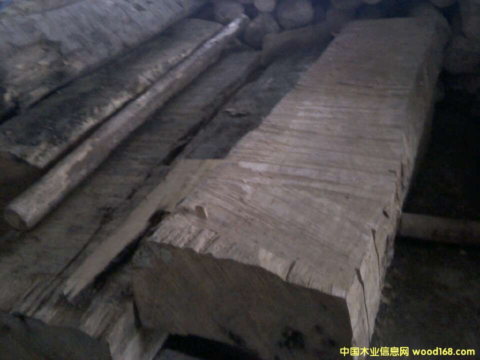 楠木的詳細(xì)介紹