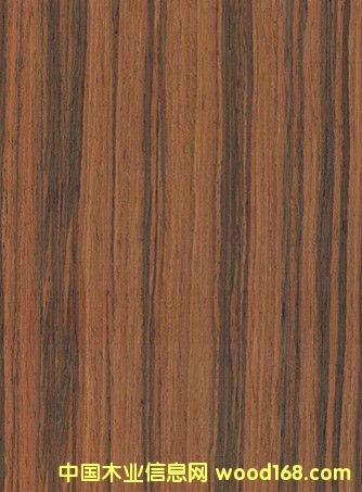 �|ݸ���l(f��)ֱ�y��֦ľƤ �Ҿ��N�� ������֦ľƤ��Ԕ��(x��)��B