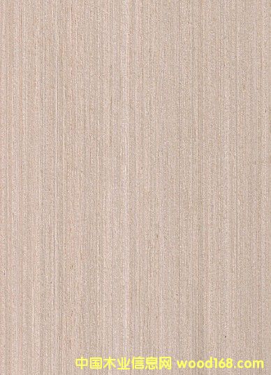 30�z�Ƽ�ľƤ �Ҿ�ľƤ�N�� �|ݸľƤ���l(f��)��Ԕ��(x��)��B