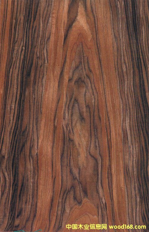 25�zɽ�y��֦ �ߙn�Ҿ�ľ��֦ �Ƽ�ľƤ�S�ҵ�Ԕ��(x��)��B