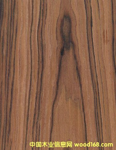 �¿�ɽ�y��֦ �Ҿ�ľƤ��֦ �ߙn������֦��Ԕ��(x��)��B