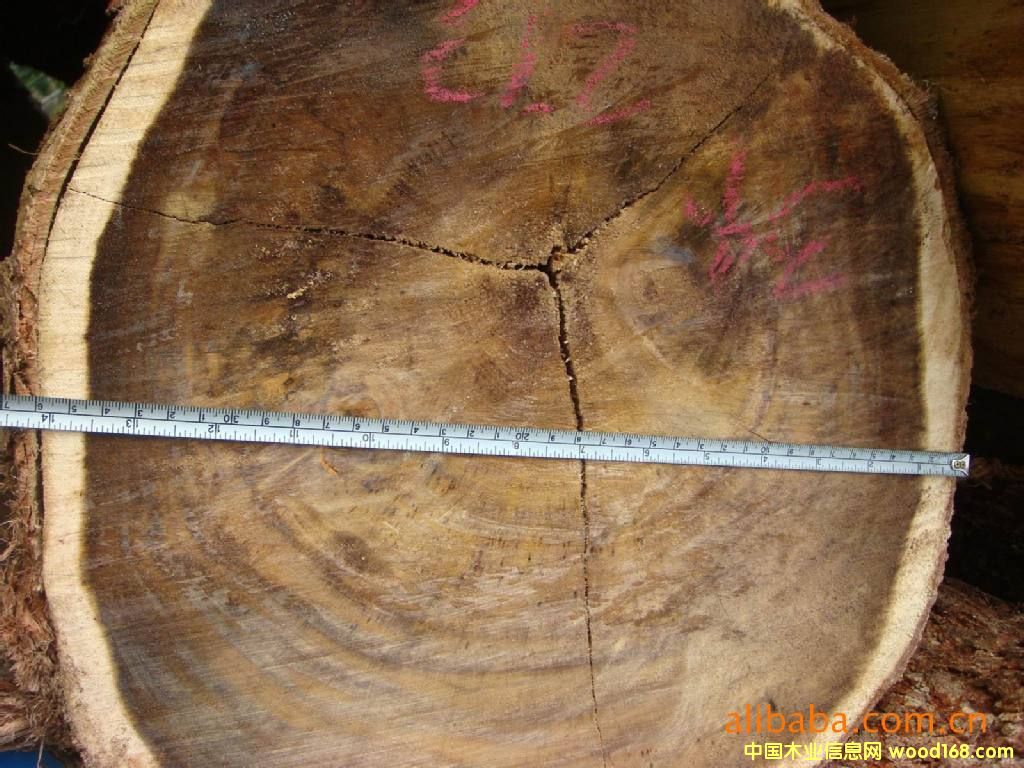 �R��������˼ľԭľ