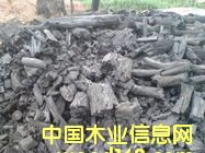 ���������×�ľ������ľ̿ �ڠt��̼ľ��