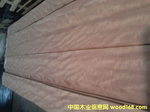 ���������KӰ��Ԕ����B