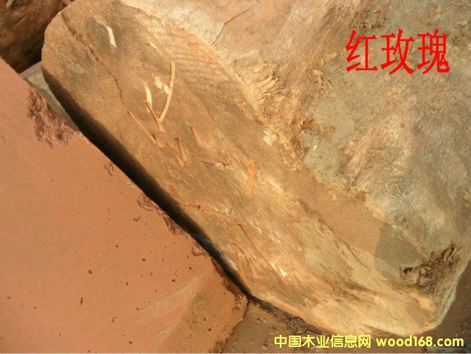 �tõ���Ԕ����B