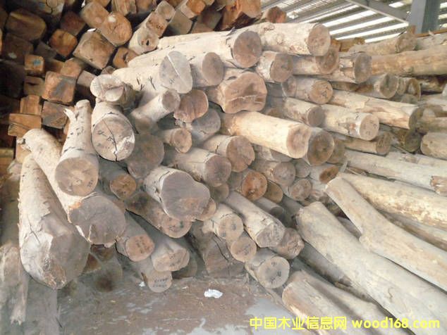 ��(y��u)�r��z骵�Ԕ����B