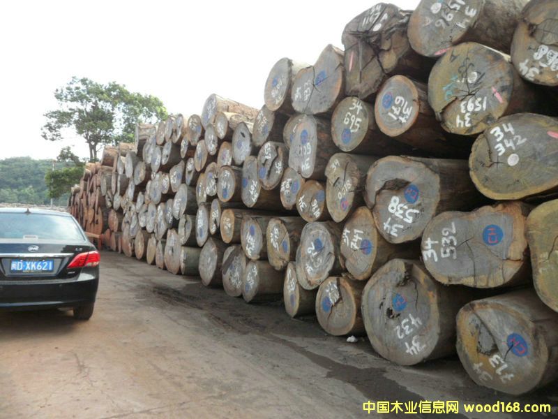 �t�Fľ��Ԕ����B