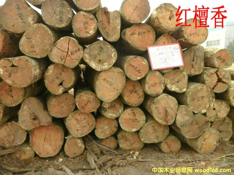 �t̴���Ԕ����B