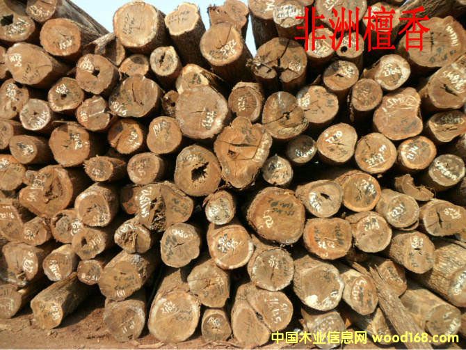 ����̴��