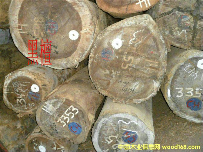 ��̴��Ԕ����B