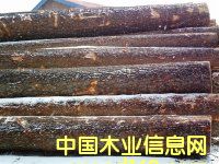 �t�ɈAľ���a(ch��n)