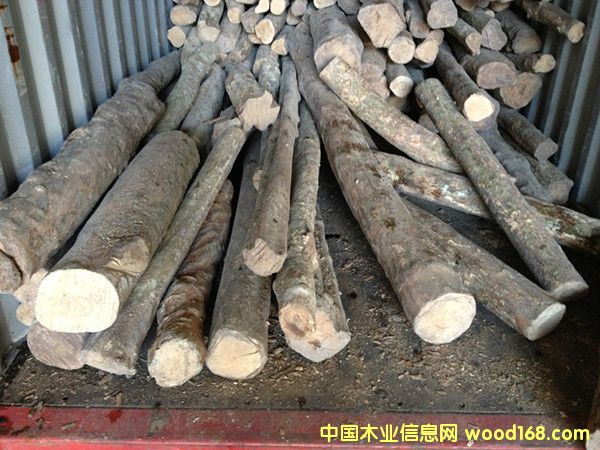 С�~�S��ľ��Ԕ��(x��)��B