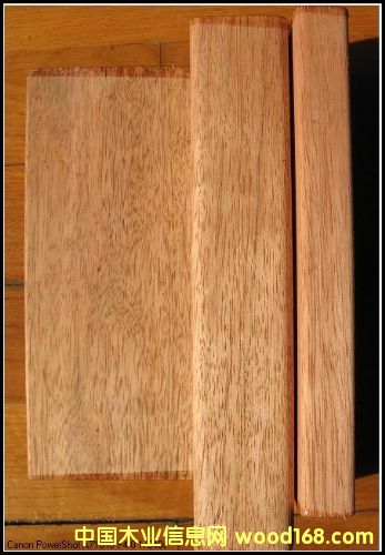 ����ľ�����X(qi��n)һ�����|(zh��)����ô�ӣ��Ϻ����h(yu��n)ľ�I(y��)��Ԕ��(x��)��B