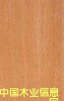 �S�ҟ��N(xi��o)ɳ������� ɳ���� ɳ�����S�ҵ�Ԕ��(x��)��B