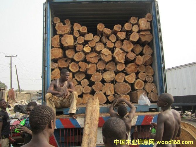 ��ľ��Ԕ��(x��)��B