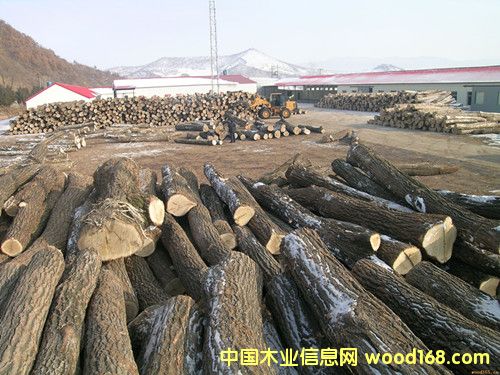 �؎X��ľԭľ��Ԕ��(x��)��B