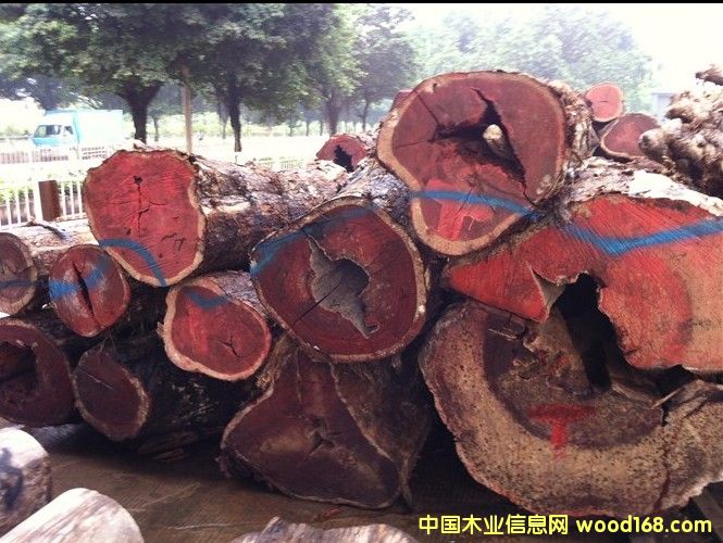 ΢���S̴��Ʒԭľ��Ԕ��(x��)��B