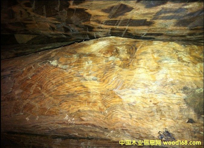 ��z�S�����Ԕ��(x��)��B