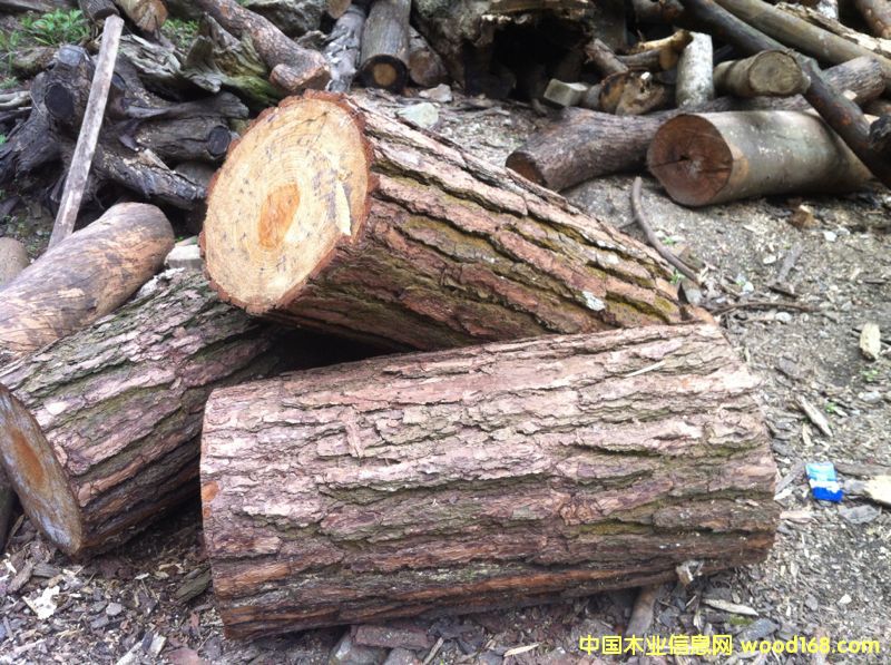 雜木的詳細(xì)介紹