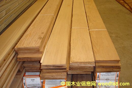 �������ô�tѩ�ɷ���ľ�ĵ�Ԕ����B