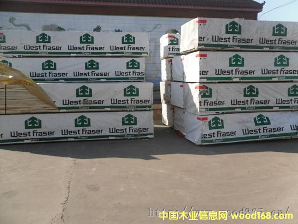 ����(j��)����SPF���