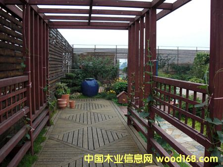 ����ľ��Ԕ��(x��)��B