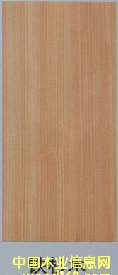 �Fɼ��Ԕ��(x��)��B