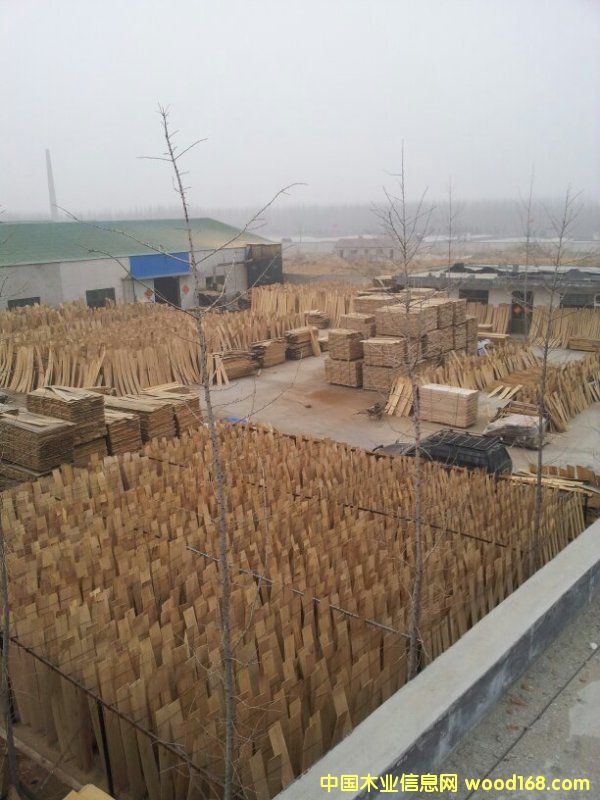 �M(j��n)�ښW�𣬰�����вĵذ�����Ԕ��(x��)��B