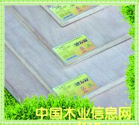 ���f(w��n)��12mm������Ӱ�-�Ҿ߼�(j��)