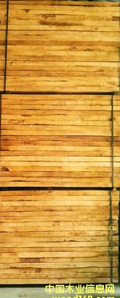 橡膠木的詳細(xì)介紹