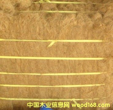 Ҭ���w�S��Ԕ����B