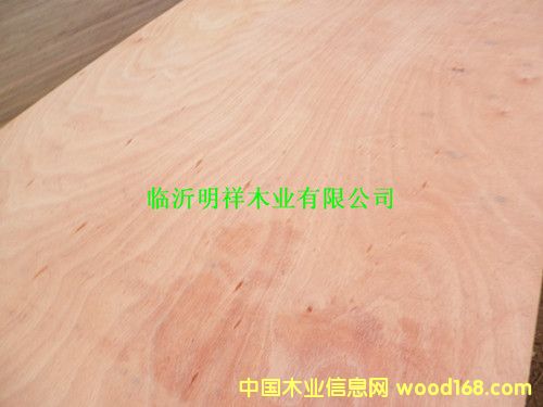 �z�ϰ��Ԕ��(x��)��B