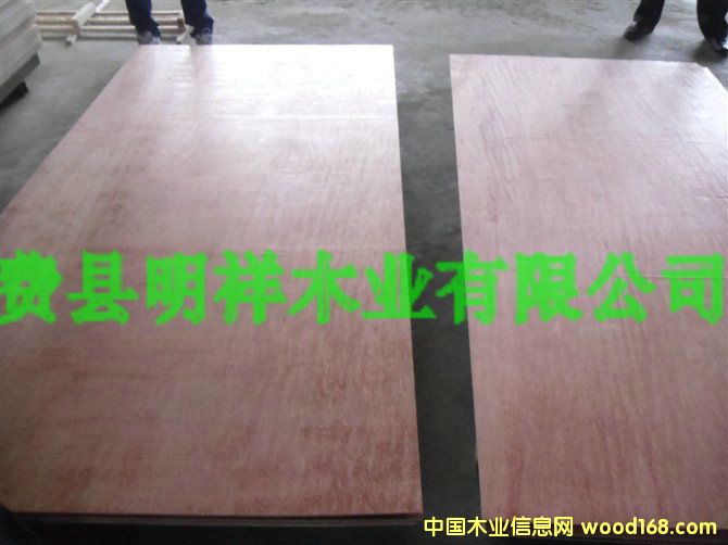 [��] 6MM�z�ϰ�