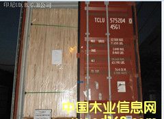 о���Ԕ��(x��)��B